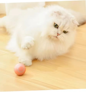 2 pelotas interactiva para gatos: rueda automáticamente, se divierte, se burla, juguete eléctrico para el ejercicio y el entretenimiento de los gatos: atrae a su mascota.
