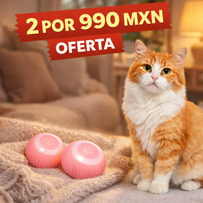 2 pelotas interactiva para gatos: rueda automáticamente, se divierte, se burla, juguete eléctrico para el ejercicio y el entretenimiento de los gatos: atrae a su mascota.