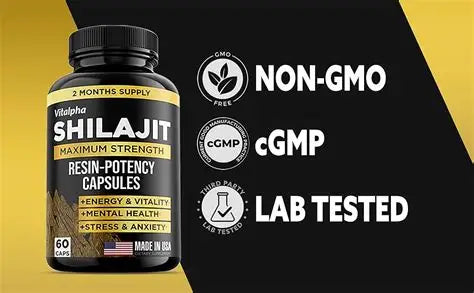 Shilajit en Cápsulas: La Resina del Himalaya en Fórmula Conveniente