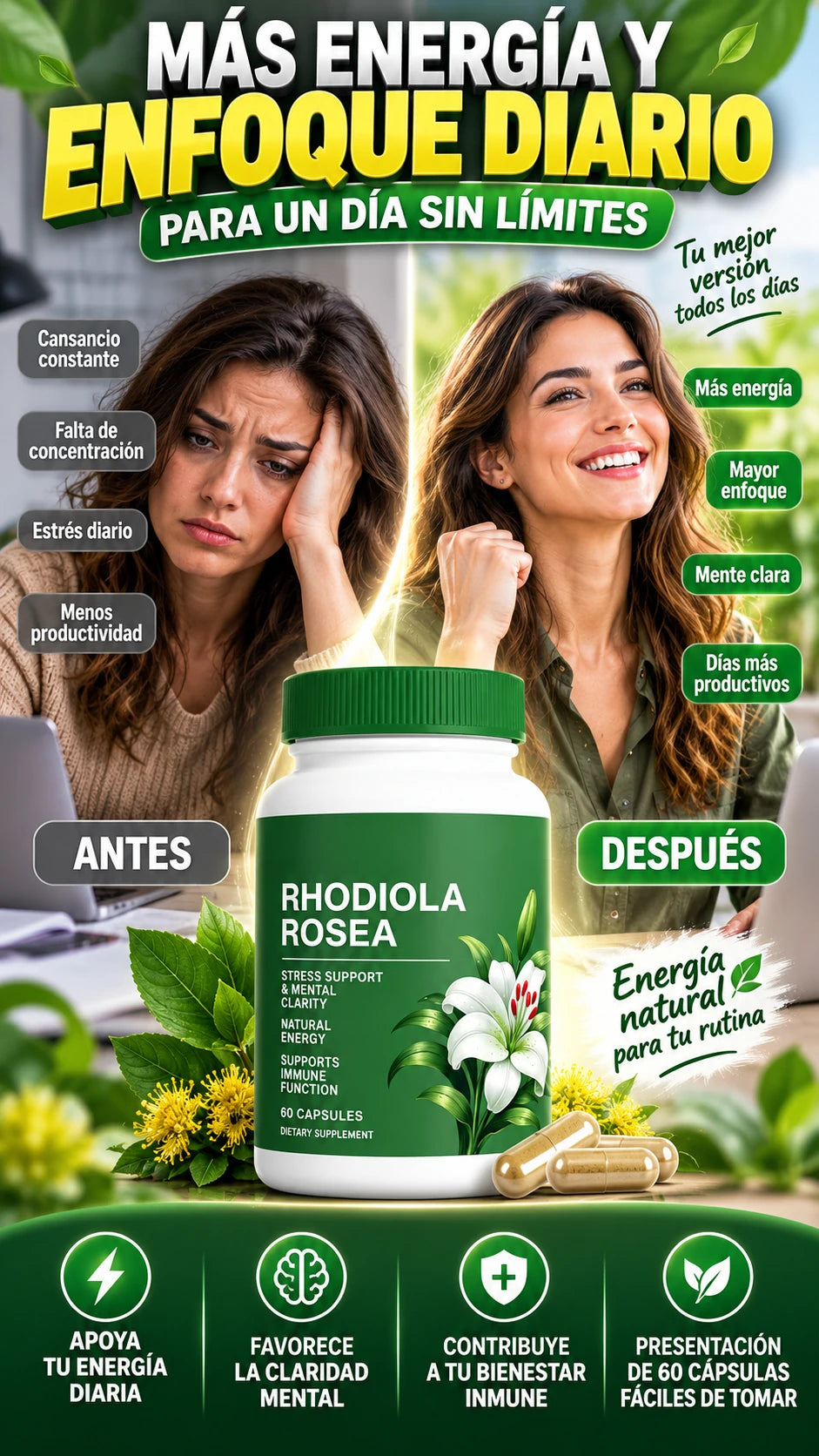 Cápsulas de Extracto de Rhodiola Rosea — Apoya tu energía y enfoque diario