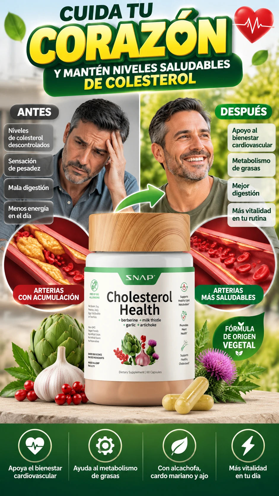 Suplemento de Esteroles Vegetales para Colesterol — Apoya tu equilibrio cardiovascular diario