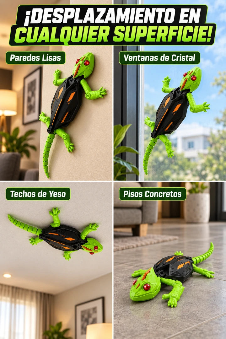 Lagarto RC en pared vidrio techo y piso
