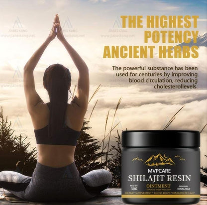 Shilajit (EN RESINA): El Oro Negro del Himalaya que impulsa la Energía…